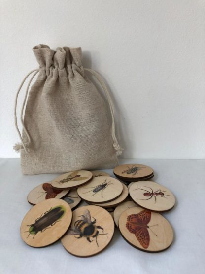 Insecten memoriespel